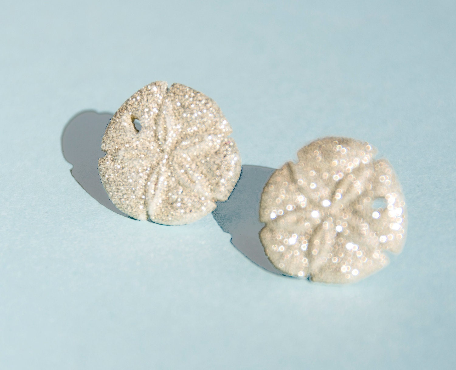 Silver Sand Dollar Earrings 10% of this sale will go to Sea Shepherd Conservation Society