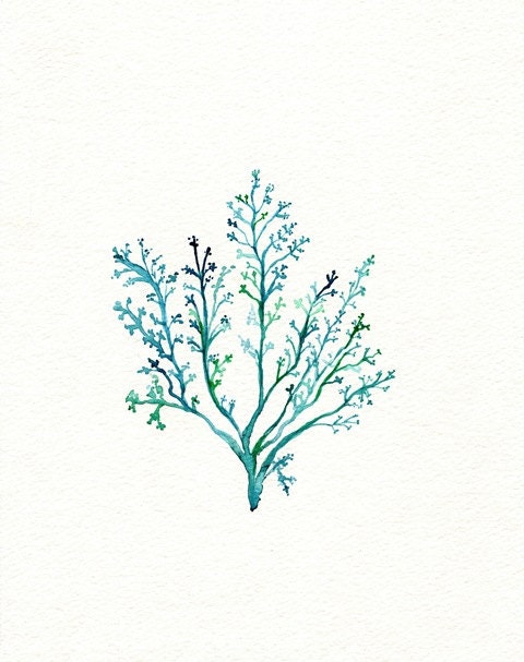 No.1 Sea Fern/ watercolor print / teal / light green / aqua / sea / ocean life / - kellybermudez