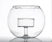 Glass Terrarium  Desk Garden  DIY Design  Creative Make your Own Terrarium
