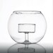 Glass Terrarium Desk Garden DIY Design Creative Make your Own Terrarium