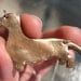 Dachshund Dog Necklace Gold Polymer Clay