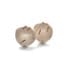 Real Birch Bark Cream Earrings - beige peach woodland stud earrings - Downy Birch