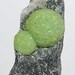Wavellite Botryoidal Crystals on Chert Arkansas
