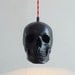 Skull Pendant Light