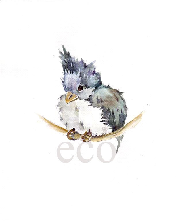 8x10 ORIGINAL Titmouse detailed painting