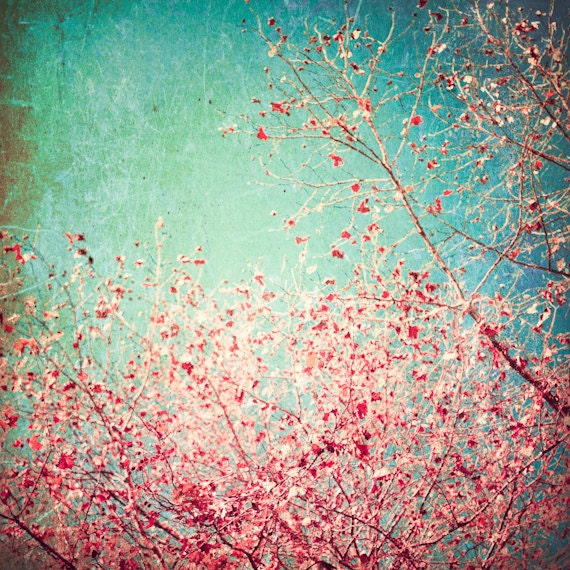 Spring photography, mothers day, love photography, mint, turquoise, red, pink, flower, floral print, home Spring photography, mother