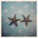 starfish earrings perfect for bridesmaids and beach weddings