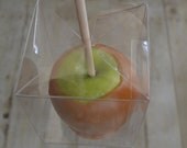 12 Plastic Apple Boxes and Sticks