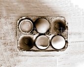 11x14 Sepia Toned Print : Eggs