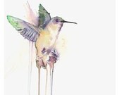Hummingbird --  8 x 10 Archival Watercolor Print