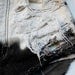 bleached white and black ombre / Jordache vintage denim / pyramid studs & destroyed / high waisted shorts