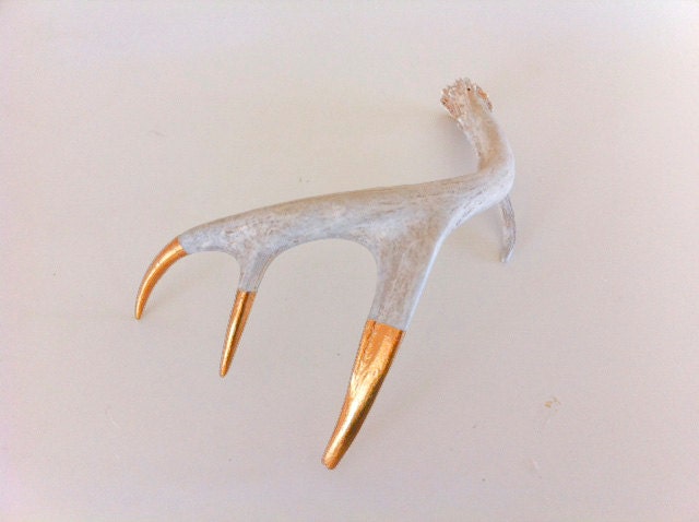 Gold Tipped Deer Antler