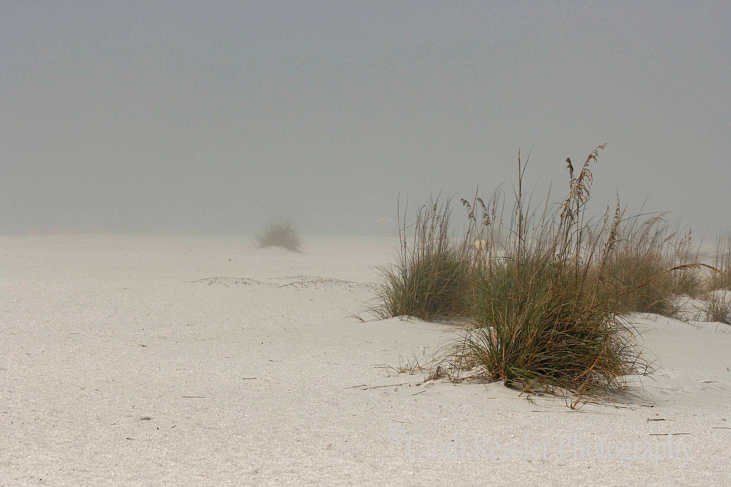 Fog Covered Beach, 5x7 Fine Art Photography, Beach Photography - CindiRessler