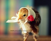 Greeting Card Chick in Kerchief Folded Photo Note Card With Envelope (1) SALE
