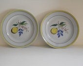 Arabia 'Windflower' Handpainted Bread Plates - Made in Finland (Set of 2)