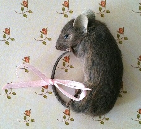 Sale...Taxidermy Brown Mouse Brooch