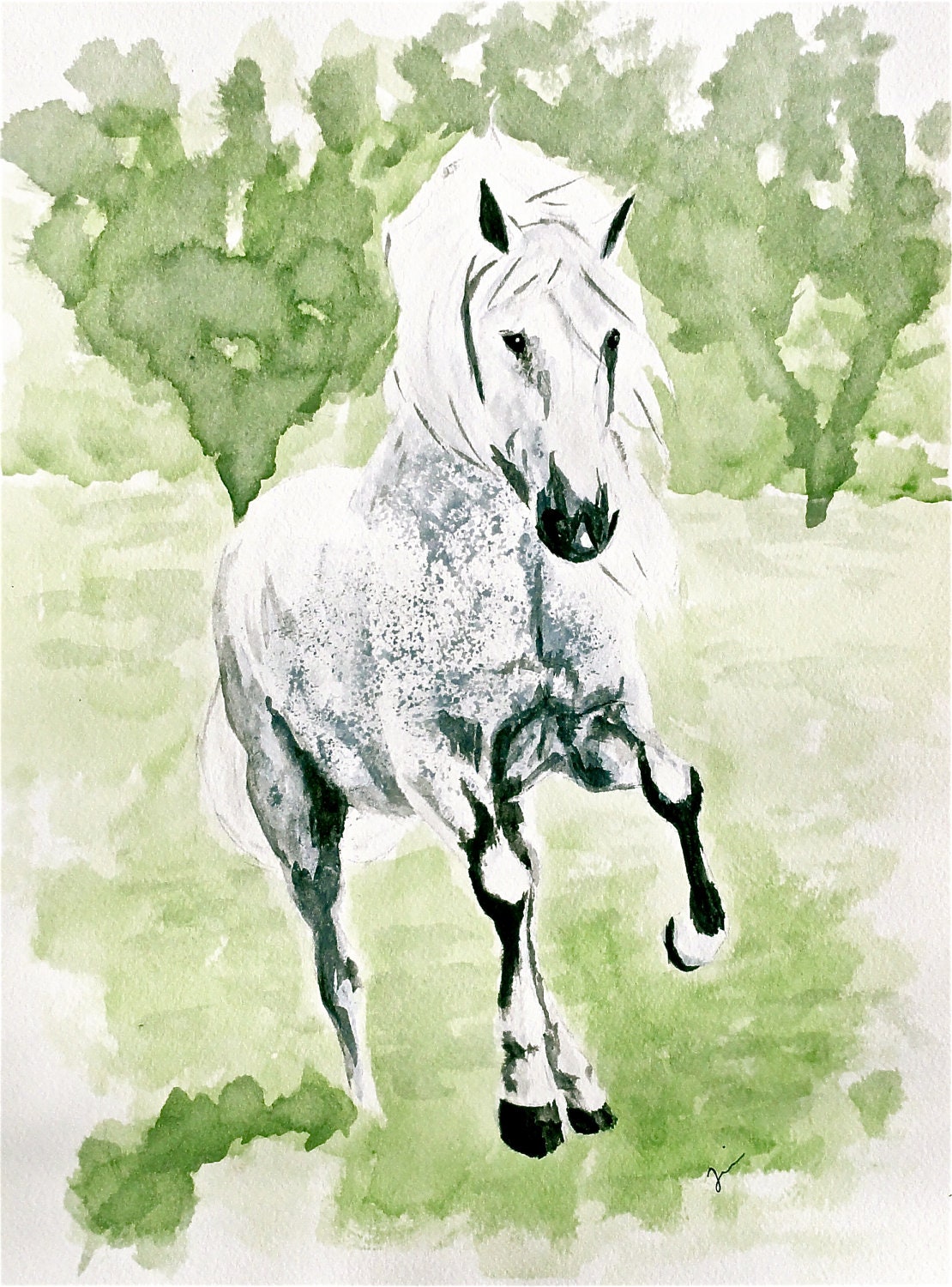 Grey Dapple Andalusian