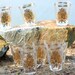 Georges Briard Double Shot Cocktail Glasses Sonata Design On the Rocks-Set of 8 Signed