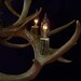 Legend Antler Designs "Fountain" Whitetail Deer Antler Chandelier Light Lamp Fixture