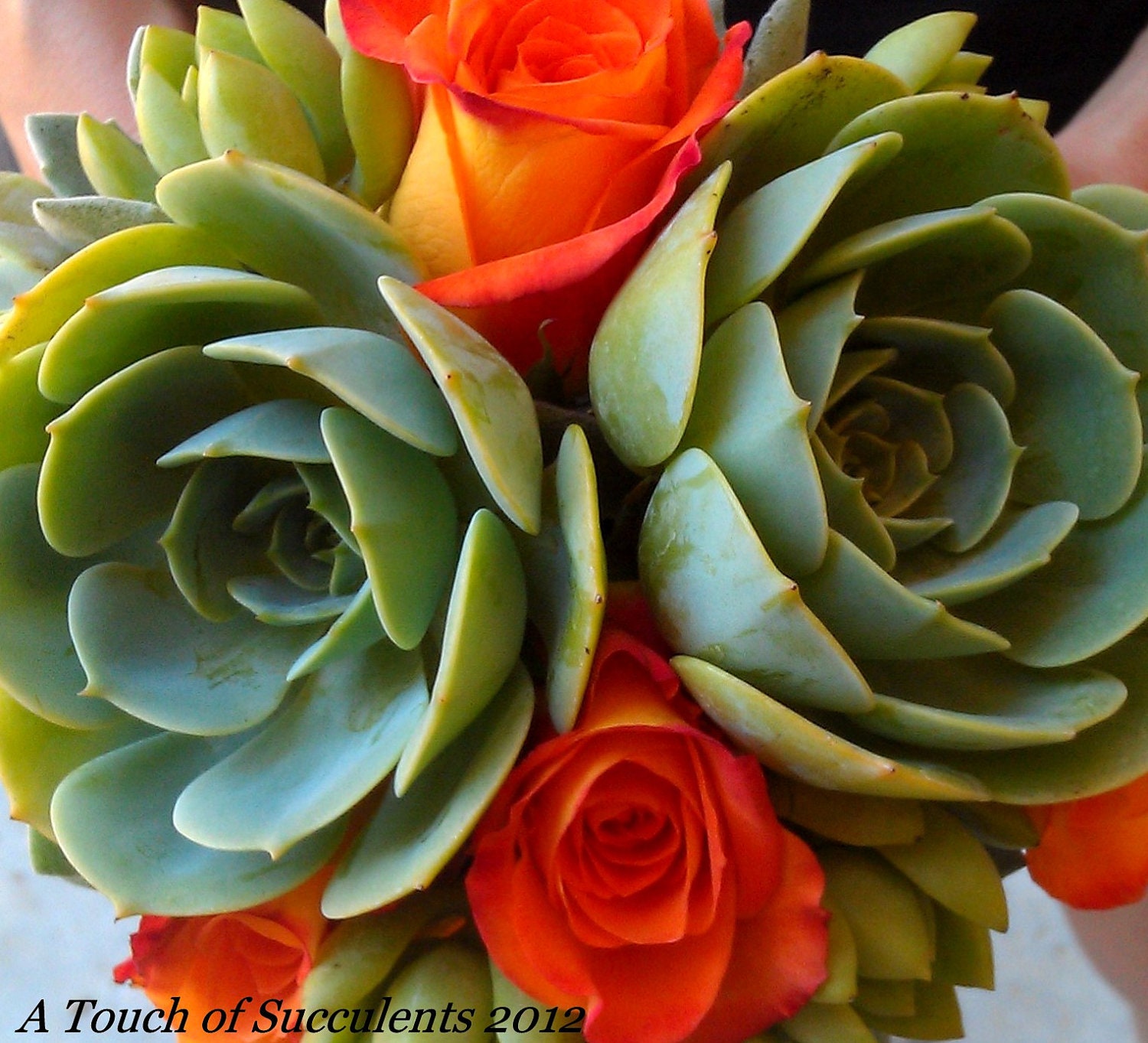 Reserved Succulent Bridal Package Balance for Sherry Hartranft  Ship Date 4/17/13