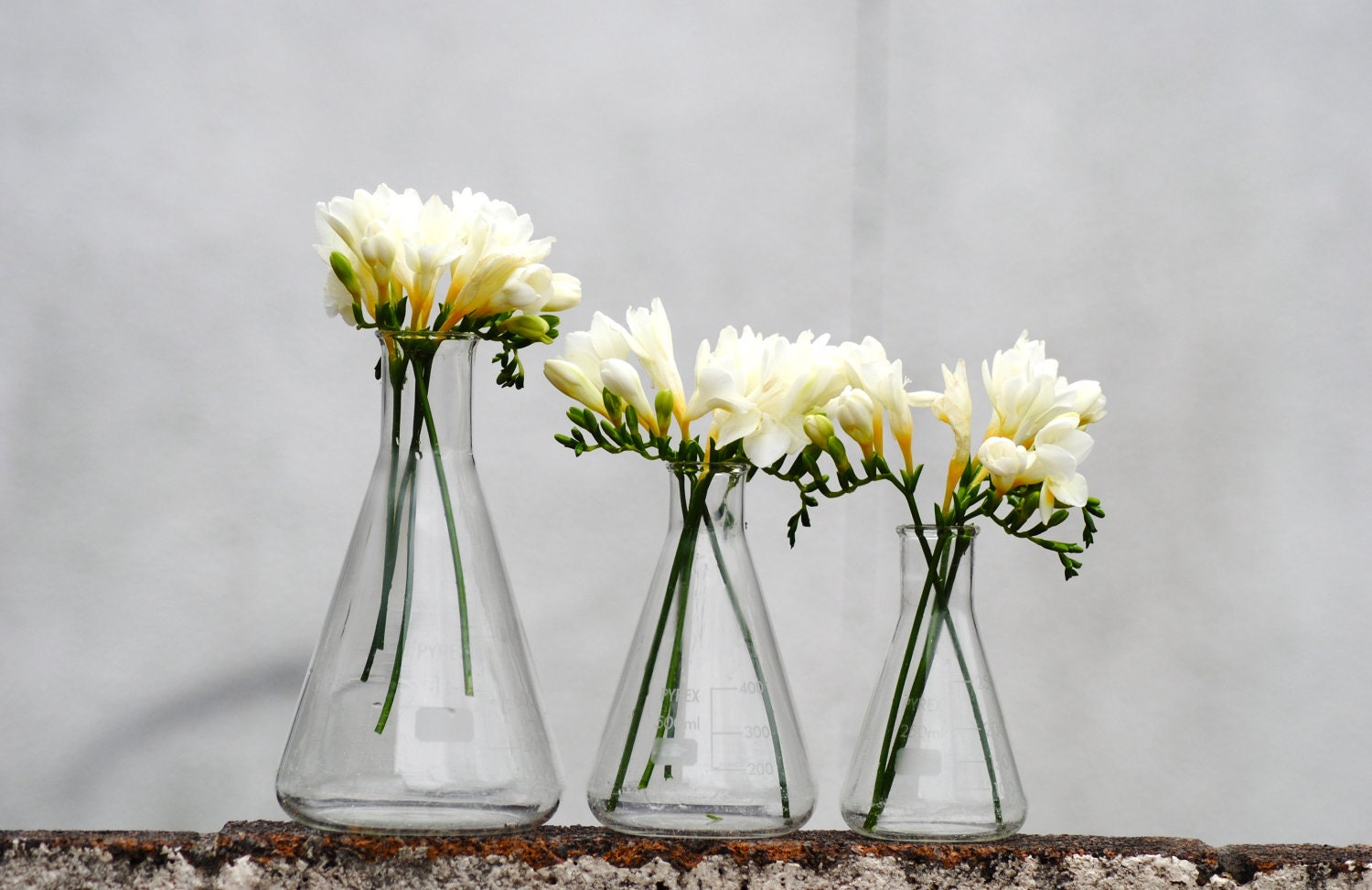 Scientific Glass Beakers Set of 3 conical flasks Pyrex glass vase back to school chic