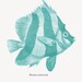 Fish Print  from a  Vintage Illustration Heniochus Nautical Decor