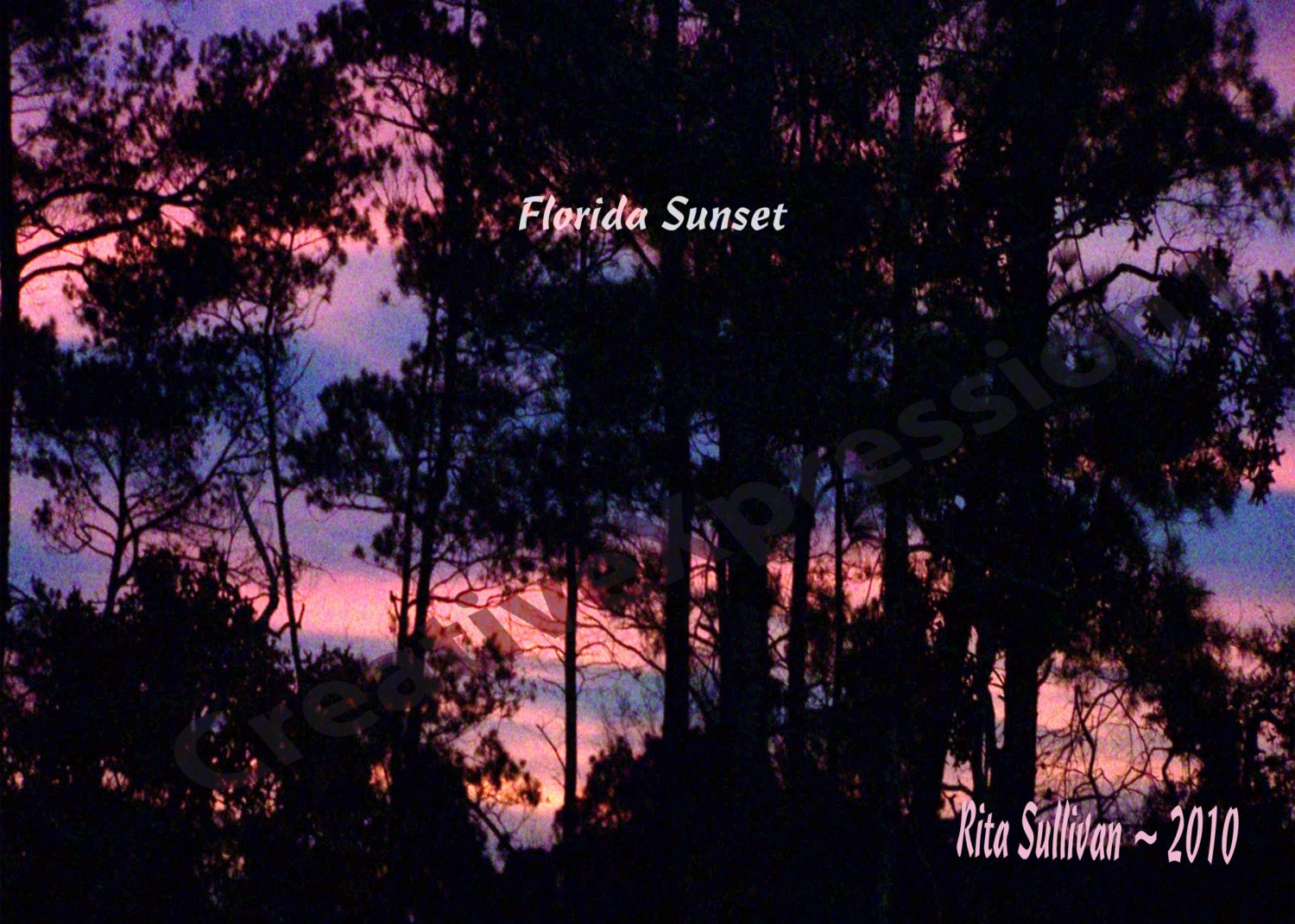 FLORIDA SUNSET - 5x7 Photo Print