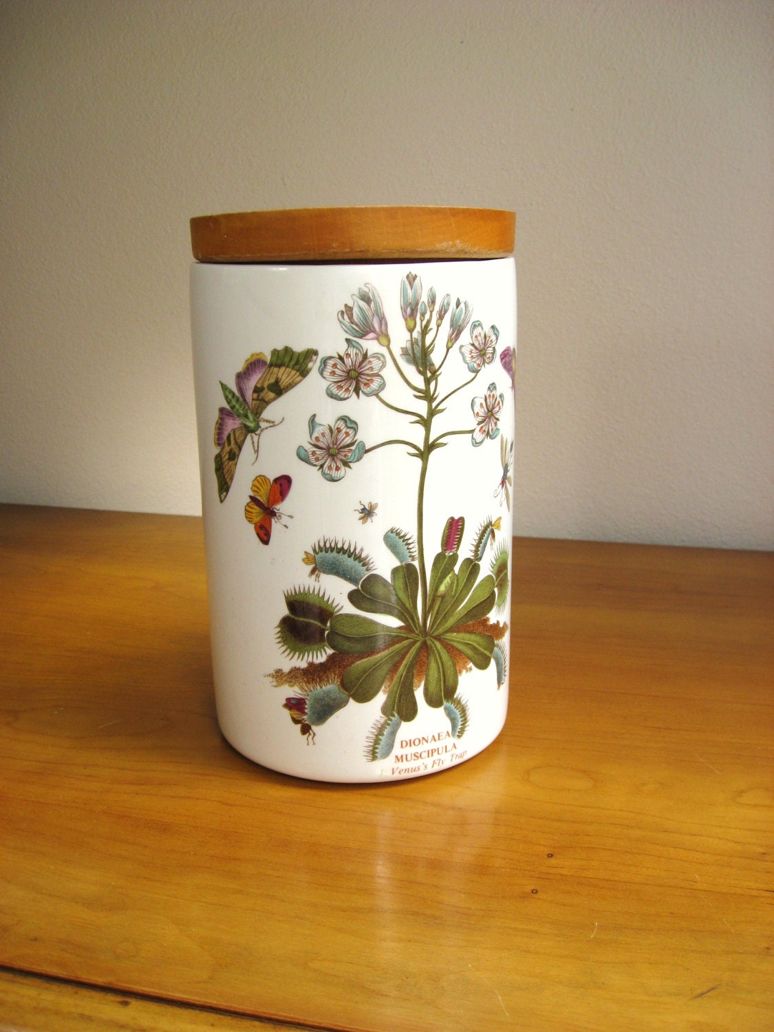 Vintage Portmeirion Canister Jar, Botanic Garden 8", Storage, Wood Lid Venus's Fly Trap