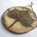 Ceramic Sycamore Ornament (No. 30)