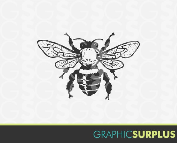 Items similar to INSTANT DOWNLOAD Vintage Clip Art Honey Bee Line Art