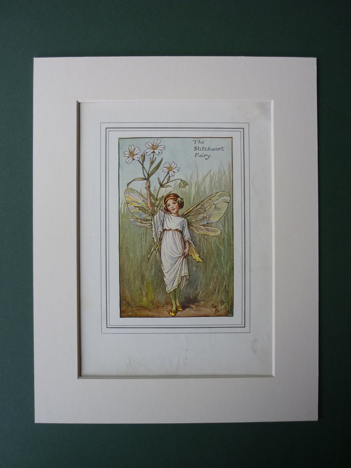 Stitchwort Fairy By Cicely Mary Barker, 1923 Print - Flower Fairies Of The Spring - Matted Ready To Frame - Faerie - Nature - Pixie - Garden