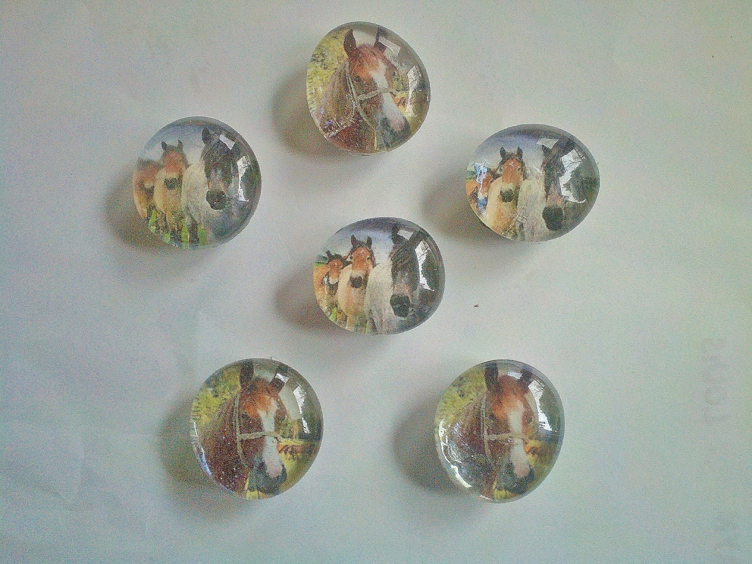 Horse Glass Marble Magnets