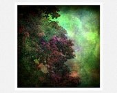 Nature Photography, dark purple, green, tree leaves, rain, clouds, surreal,  Monsoon fine art photography print 12x12