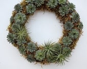 Wine Kissed Succulent and Tillandsia Wreath