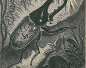 1883 Hercules Beetle Antique Engraving Brehms Tierleben Scarab Old Print