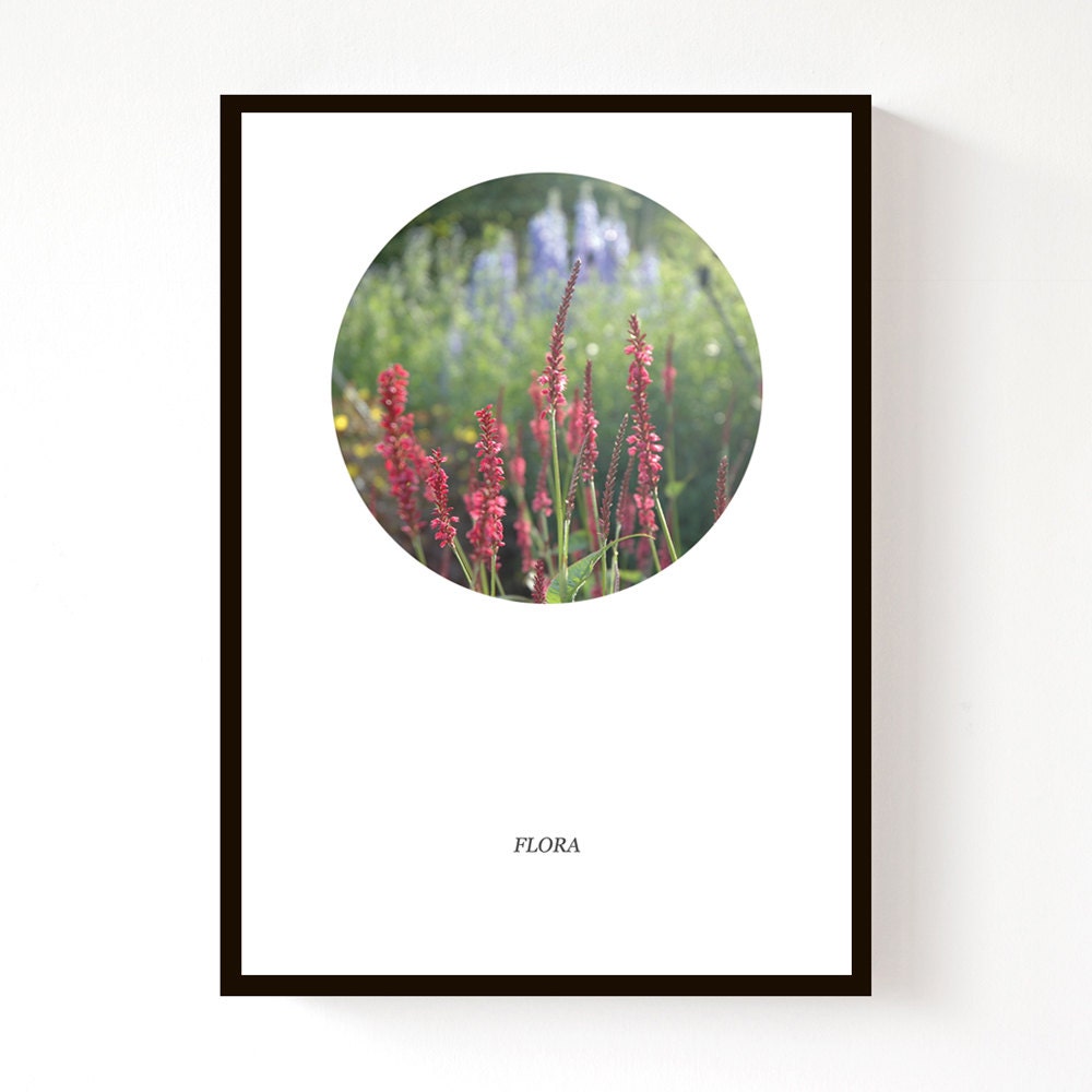 Flora - A3 Print