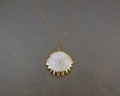 Sand Dollar 24k edged Necklace - Exclusive Fossilized Sanddollar pendant gold layered- Gold fill chain