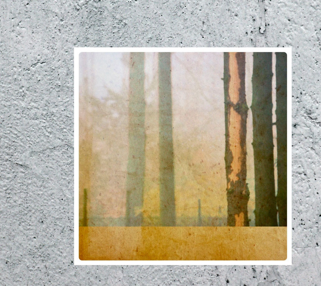 nature abstract LIMITED EDITTION fine art photography print, for modern home, nature decor zen square, geometrical trees, wood, yellow ocher - ANNandDAD