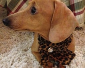 Custom Animal Print Dog Scarf- "Sunday Inspired"