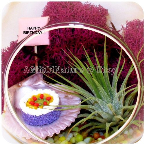Birthday Terrarium Kit - Tillandsia Air Plant Gift - Hanging Glass Orb - Moss Glass Jelly Bean Gems Handmade Cake Wedding Favor Party Decor