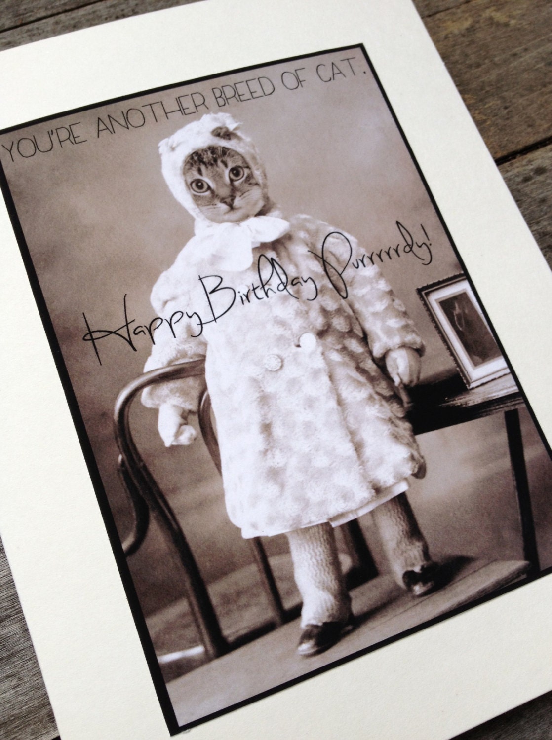 Victorian Birthday Cat in Clothes Greeting Card