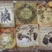 A Witch's Herbal - Sticker Labels