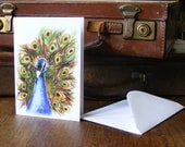 Peacock Greeting Card