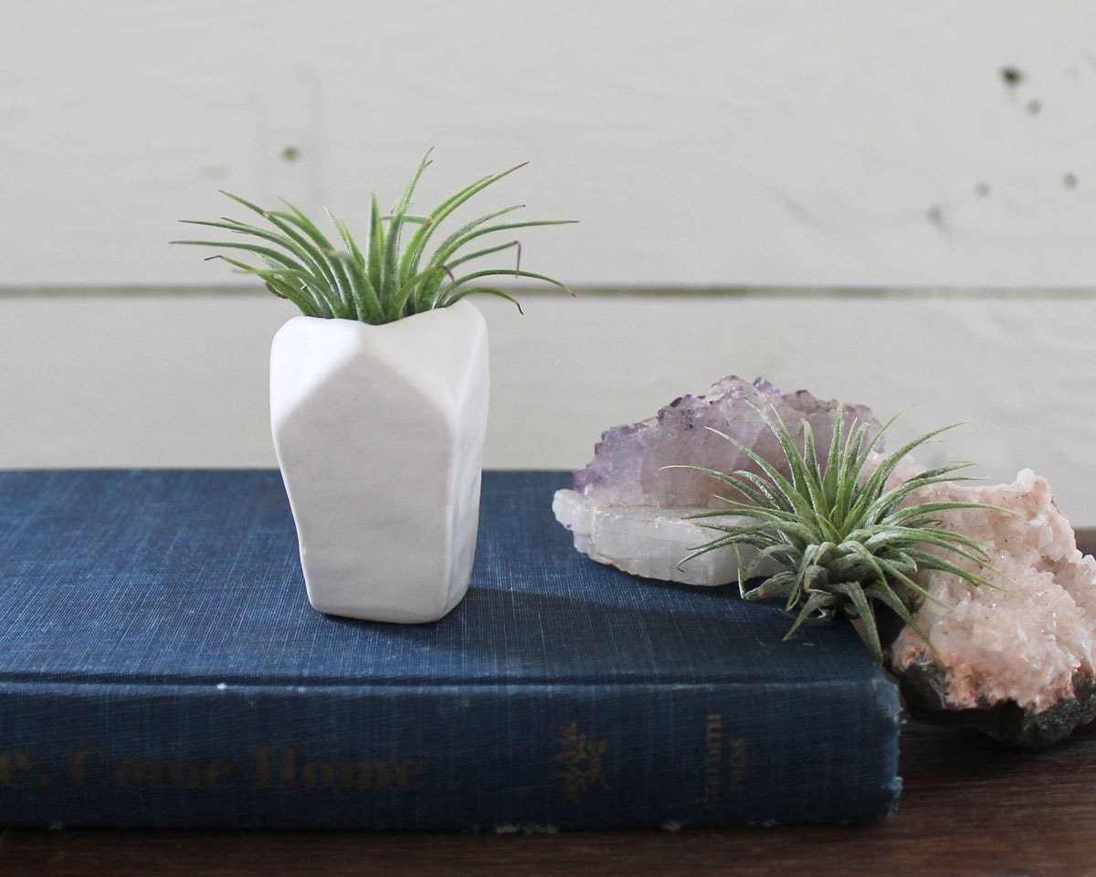 Faceted Porcelain Air Plant holder No.2 -plant included-
