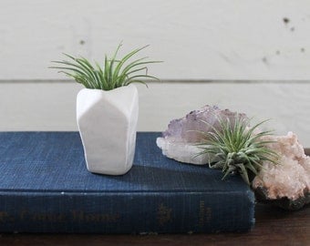 Faceted Porcelain Air Plant holder No.2 -plant included-