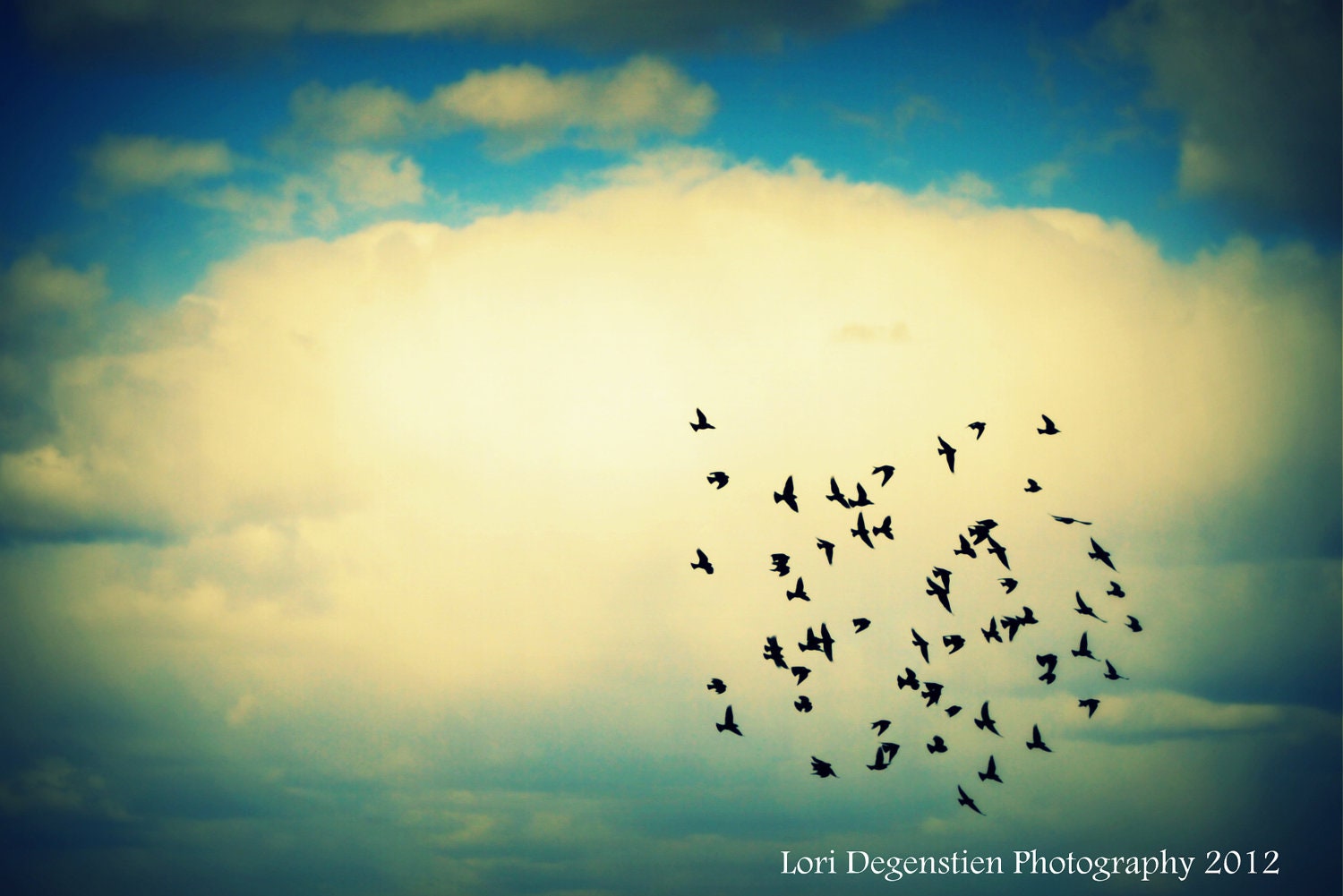 The Flock 8x10 Print, Saskatchewan Landscape