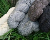 NEW 2013 Yarn CSA Share-Buy the Farm-Natural Romney and Llama Yarn