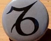 Capricorn MAGNET
