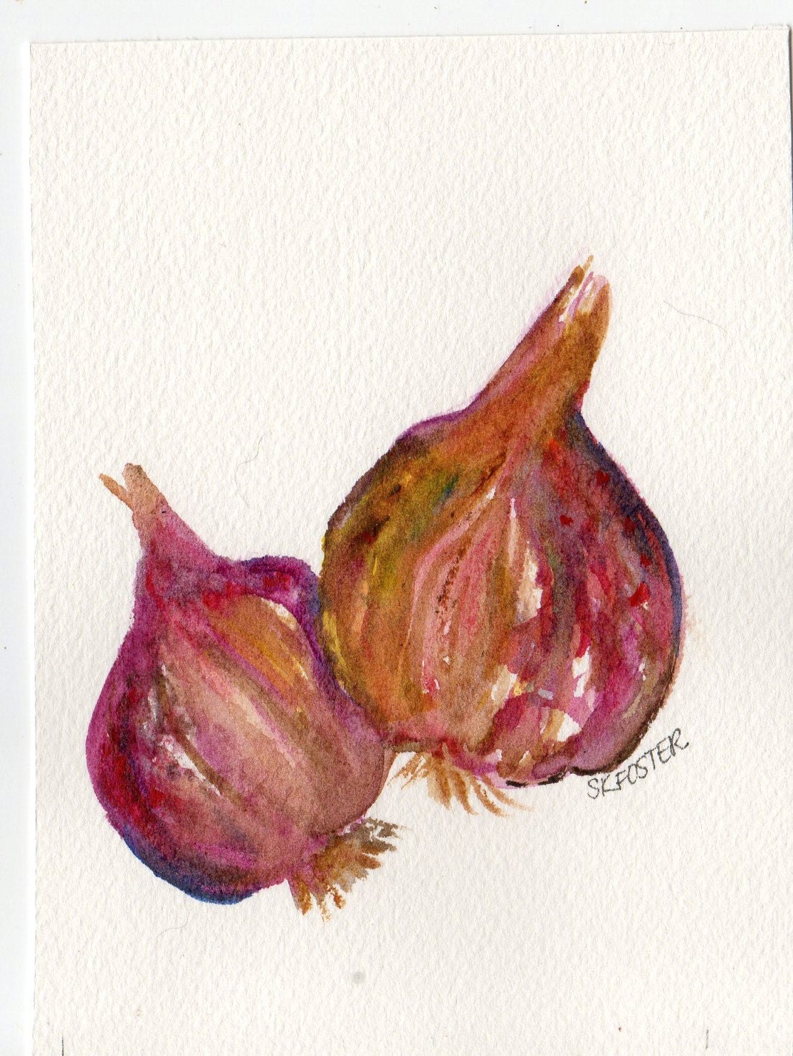 Early Italian Garlic watercolor painting original, Big Purple Bulbs , vegetable series, 4 x 6, garlic art