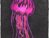 Jellyfish Print  Pink Fuchsia 24x32 -Giclee Pointillism -